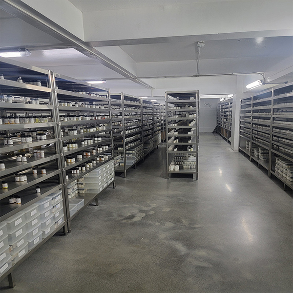 Guangzhou plant fragrance Co., Ltd