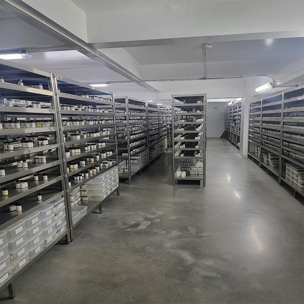 Guangzhou plant fragrance Co., Ltd üreticinin üretim hattı