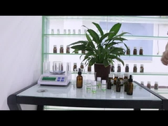 Toptan Satış Ücretsiz Örnekler Uzun Süren Gece yarısı Parfümü Marka Taklit Yağ Kadın Parfümü