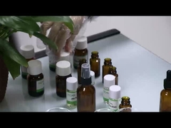 Tarçın Yaprağı Esanslı Yağı Mükemmel Kokulu Mum Kokusu