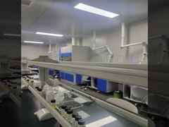 Yüksek Konsantrasyonlu Portakal Limon Esansı Diffuser için Portakal Limon Kokusu