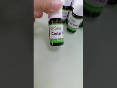 Versace Floral Koku Yağı 250ml'yi Şampuan Yapımı İçin Neden Seçmelisiniz Görün