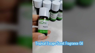 Zencefil Çiçeği Mum Kokusu Esans