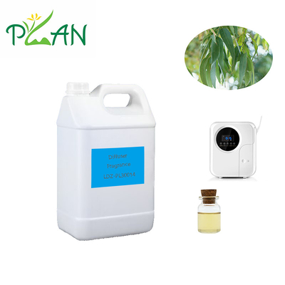 Eucalyptus Diffuser Parfümler Saf Doğal Fransa Çay Ağacı Yağı Parfümü