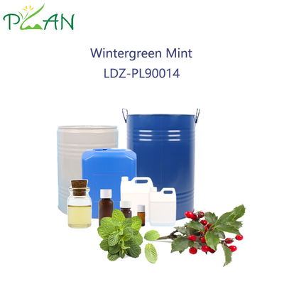 Diş macunu için Wintergreen Mint Parfümü 2.5L / şişe