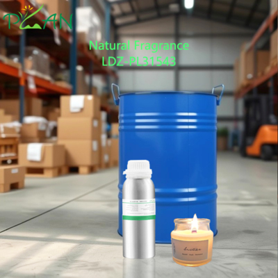 10 ml Difüzörler ve Kamış Çubukları için Doğal Konsantre Parfüm Yağı