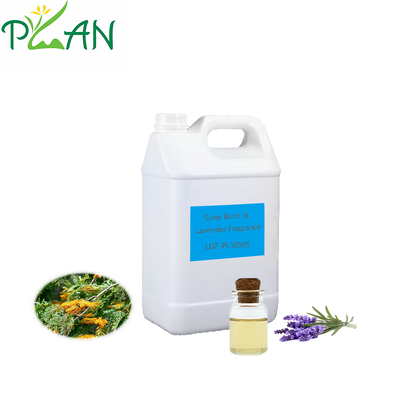 Ücretsiz Örnek Ev Diffuser Parfüm Gümüş Birch & Lavanda Parfüm Yağı Reed Stick & Soğuk Kokulu Mum & Diffuser Parfüm Yapım / Üretim